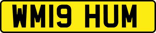 WM19HUM