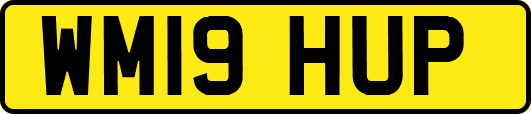 WM19HUP