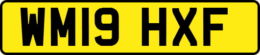 WM19HXF