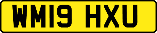WM19HXU