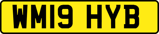 WM19HYB