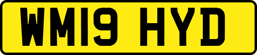 WM19HYD