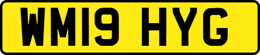WM19HYG