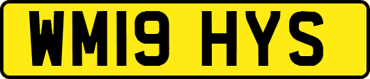 WM19HYS