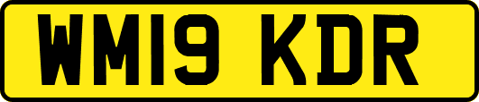 WM19KDR