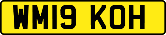 WM19KOH