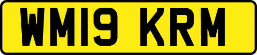 WM19KRM