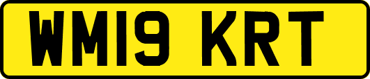 WM19KRT
