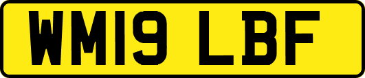 WM19LBF