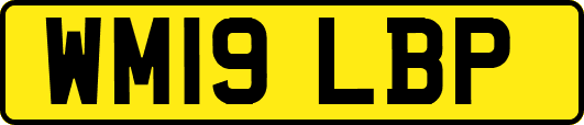 WM19LBP