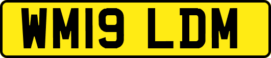 WM19LDM
