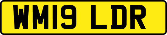 WM19LDR