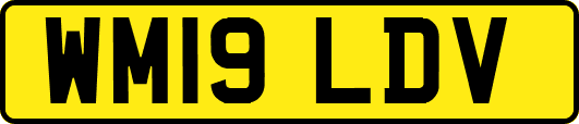 WM19LDV