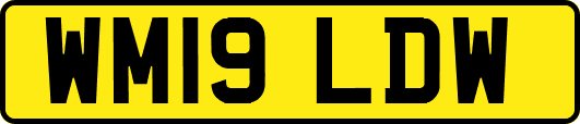 WM19LDW