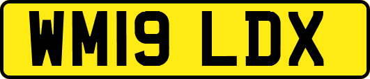 WM19LDX