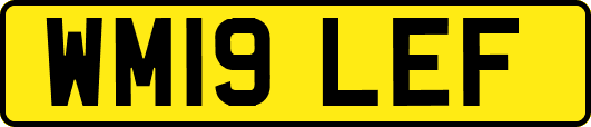 WM19LEF
