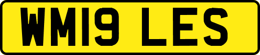 WM19LES