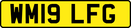 WM19LFG