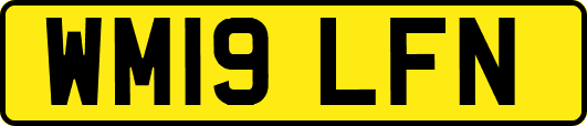 WM19LFN