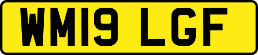 WM19LGF