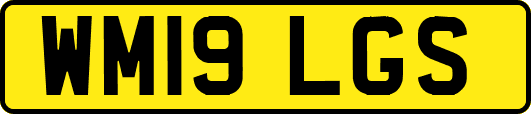 WM19LGS