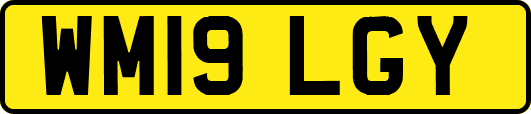 WM19LGY