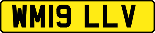 WM19LLV