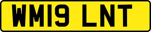 WM19LNT