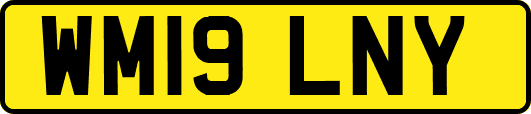 WM19LNY