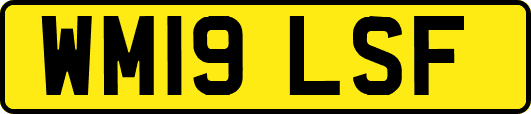 WM19LSF