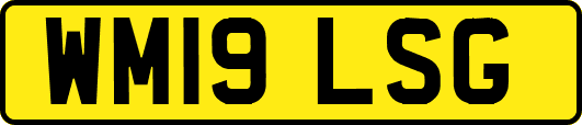 WM19LSG
