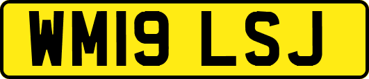 WM19LSJ