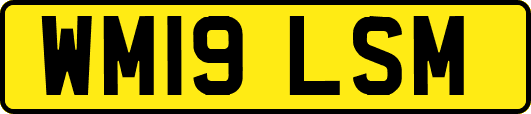 WM19LSM