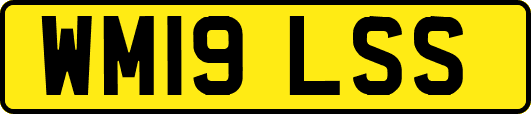 WM19LSS