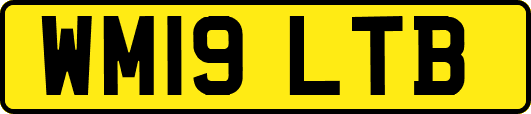 WM19LTB