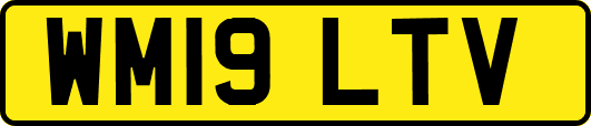 WM19LTV