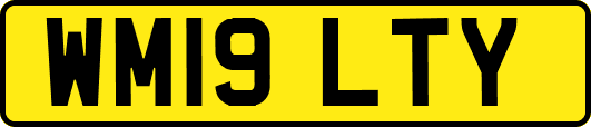 WM19LTY
