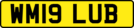 WM19LUB