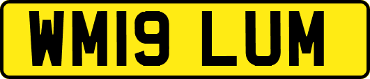 WM19LUM