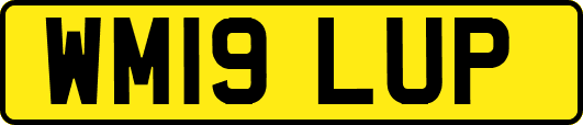 WM19LUP