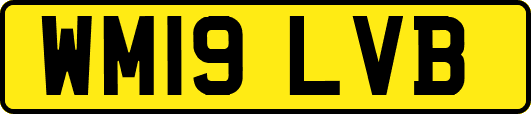 WM19LVB