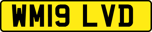 WM19LVD