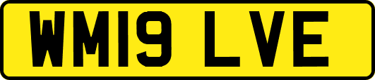 WM19LVE