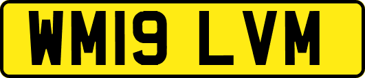 WM19LVM