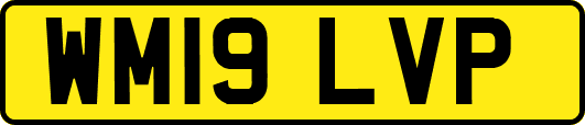 WM19LVP
