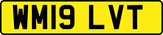 WM19LVT
