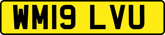 WM19LVU