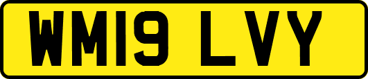 WM19LVY