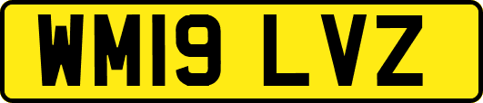 WM19LVZ