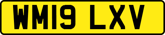 WM19LXV